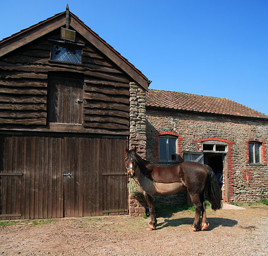 in the studio courtyard